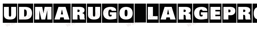 UDMarugo_LargePr6N HV字体转换